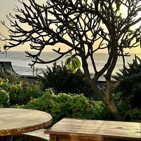 Casa Carneirinho By Ola Madeira Villa