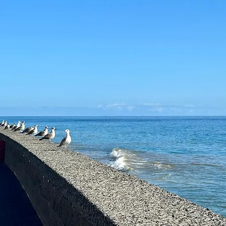 Casa Carneirinho By Ola Madeira