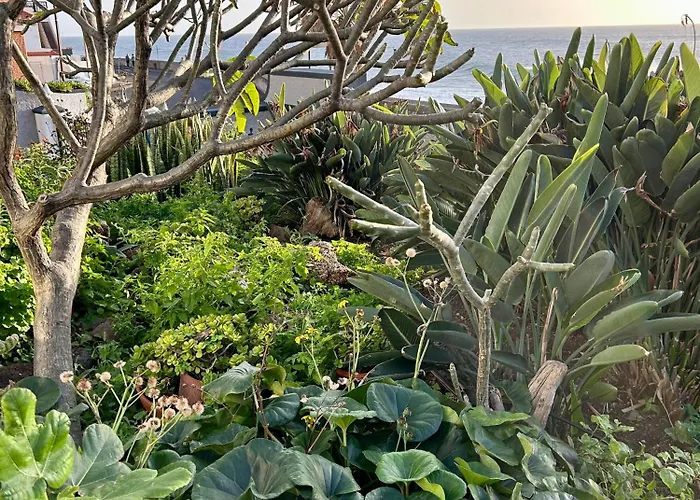 Casa Carneirinho By Ola Madeira Paul do Mar