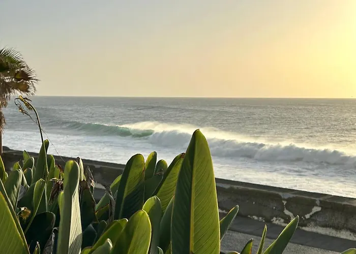 Casa Carneirinho By Ola Madeira Villa