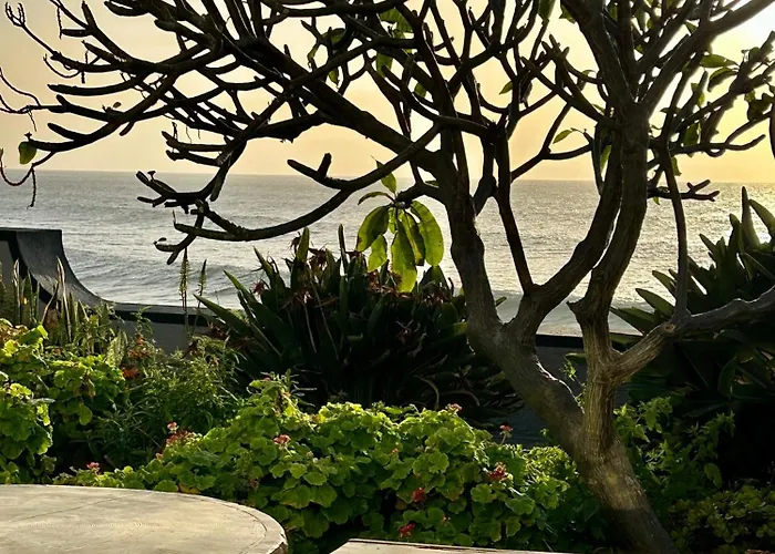 Casa Carneirinho By Ola Madeira Villa