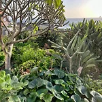 Casa Carneirinho By Ola Madeira بول دو مار