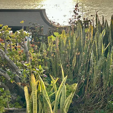 别墅 Casa Carneirinho By Ola Madeira 滨海保尔