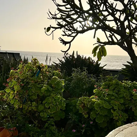 Casa Carneirinho By Ola Madeira