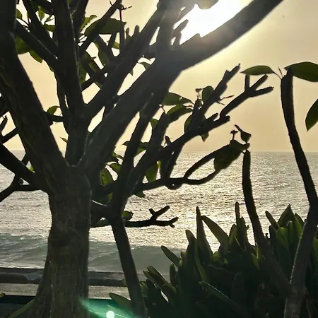 Casa Carneirinho By Ola Madeira * Paul do Mar (Madeira)