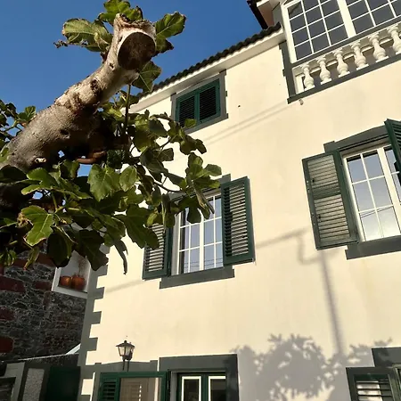 Casa Carneirinho By Ola Madeira Villa