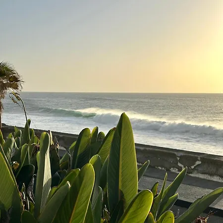 Casa Carneirinho By Ola Madeira 别墅