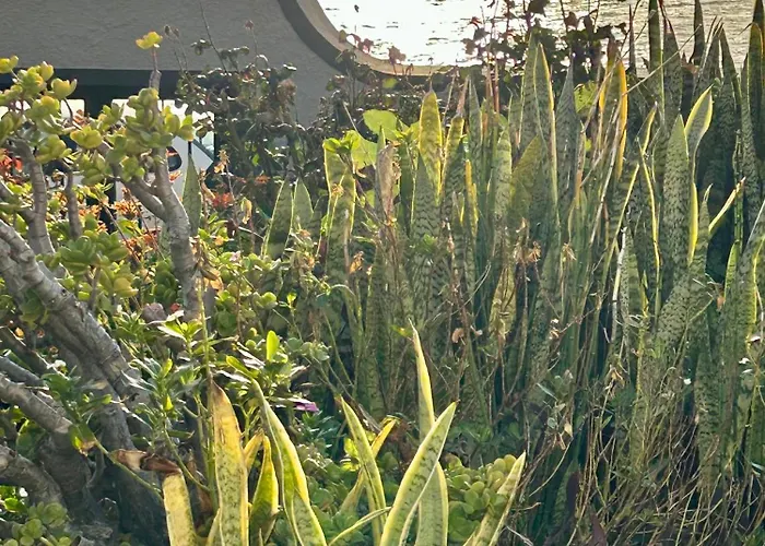 Villa Casa Carneirinho By Ola Madeira Paul do Mar (Madeira)