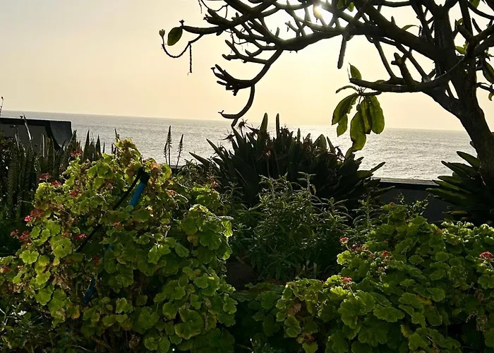 Casa Carneirinho By Ola Madeira