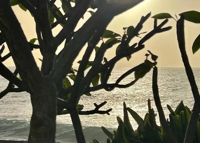 Casa Carneirinho By Ola Madeira * Paul do Mar (Madeira)