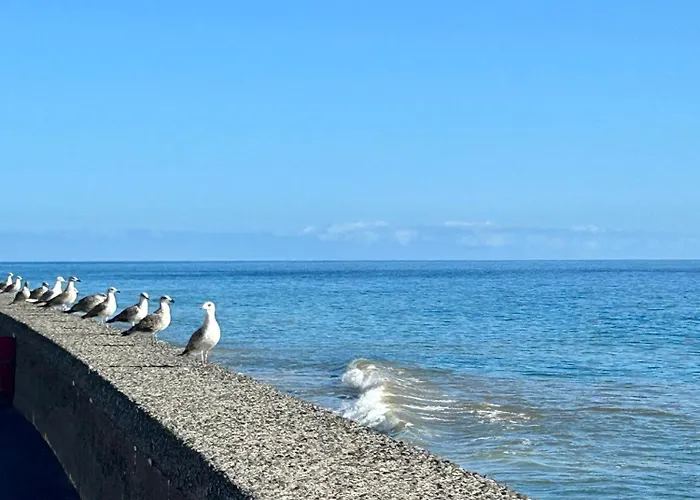 Casa Carneirinho By Ola Madeira
